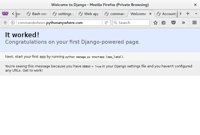 screenshot of django it worked page